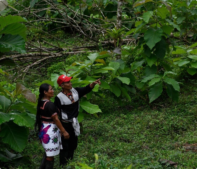 Colombia